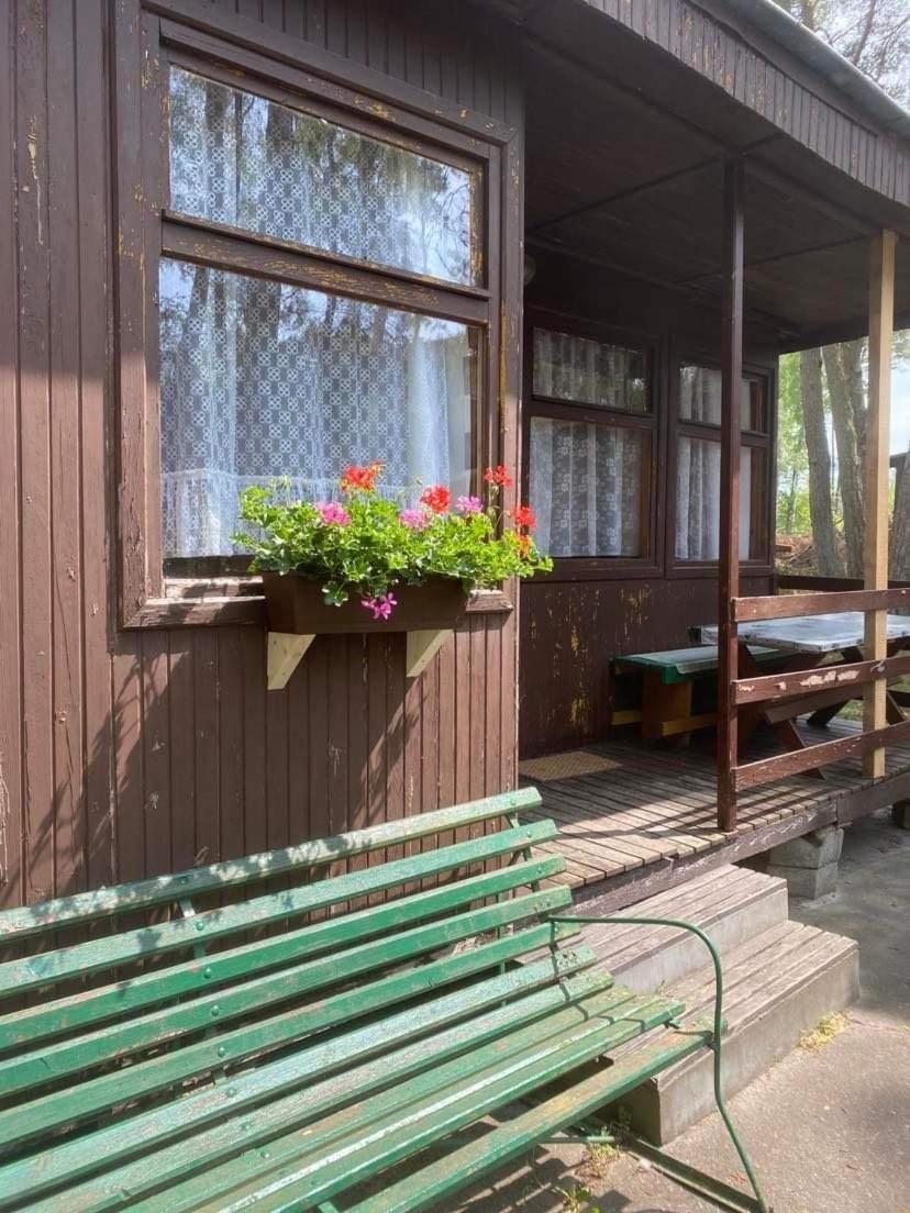 Domki Szumi Las Mrzeżyno Exteriör bild