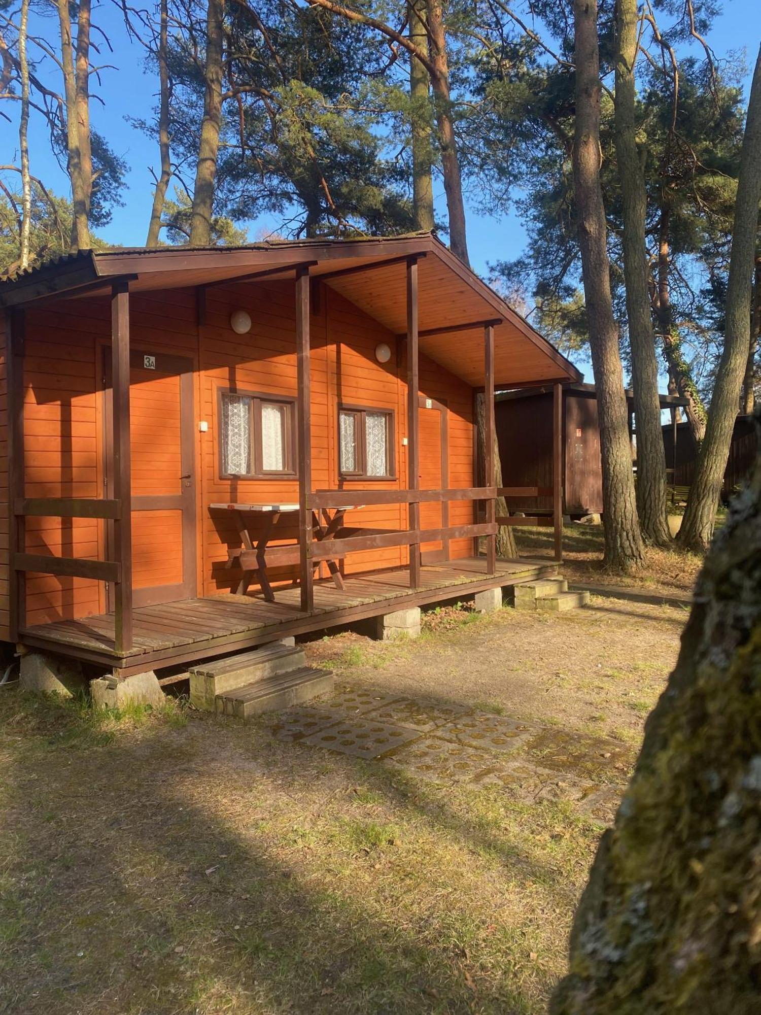 Domki Szumi Las Mrzeżyno Exteriör bild